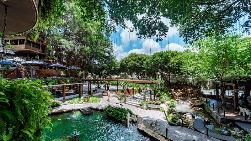 Du Mien Garden Cafe - Tree cafe