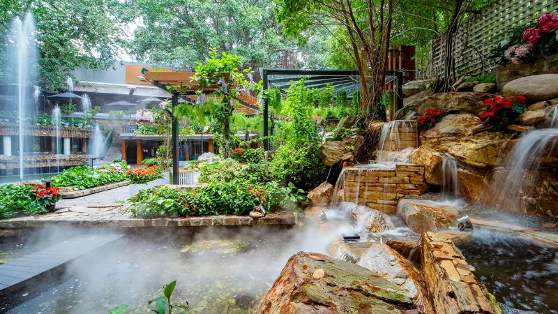 Du Mien Garden Cafe - Tree cafe