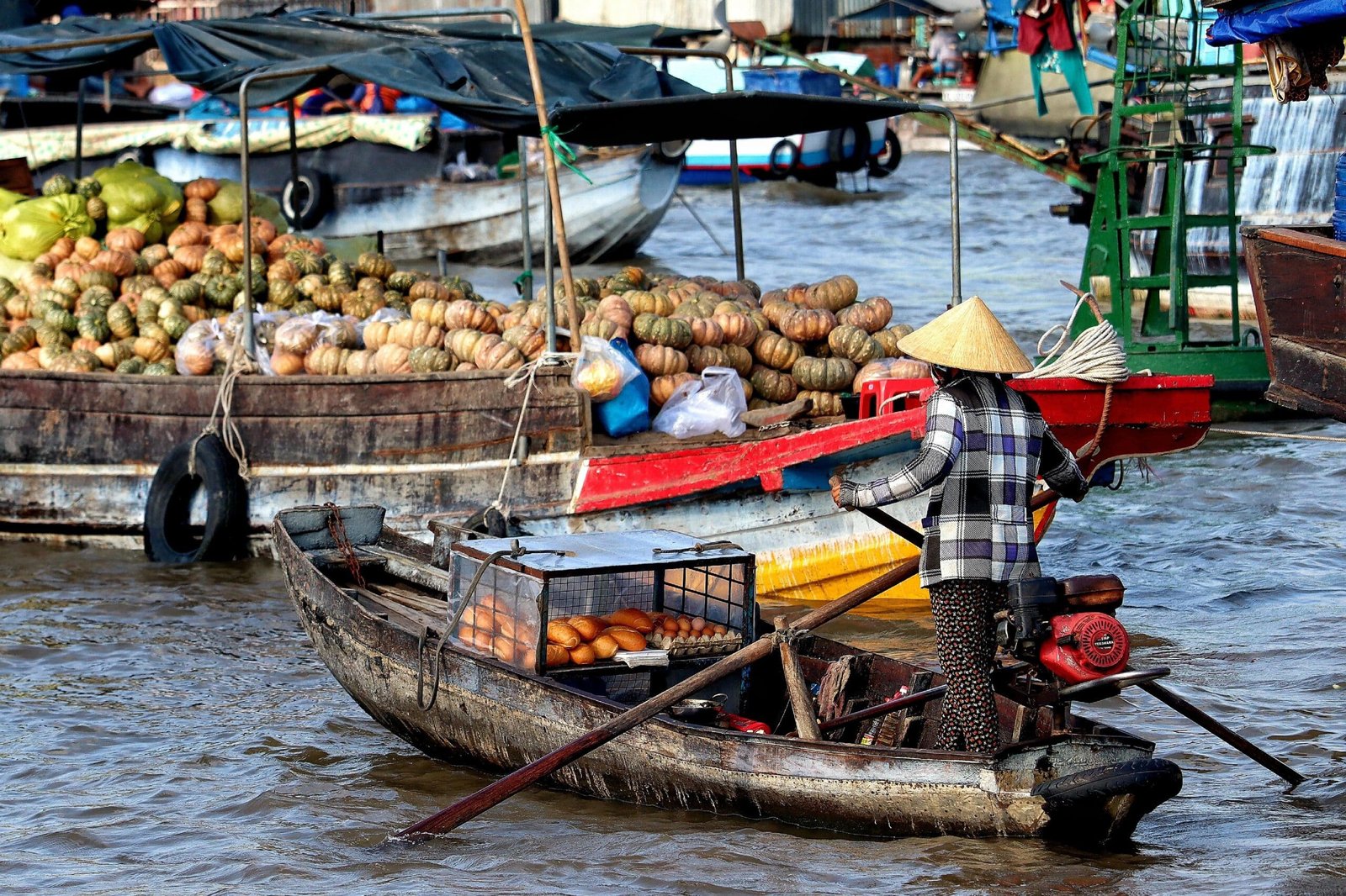 Mekong Delta 2-Day Tour: My Tho to Can Tho City, and the Biggest Floating Market